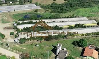 Imagem 3: Sitio com granjas, 200 mil aves