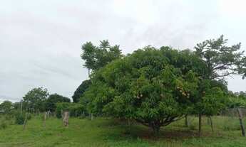Imagem 5: Vendo Sitio Chácara com venda com preço sob consulta