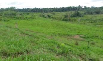 Imagem 7: Inperdivel fazenda em roraima