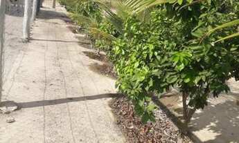 Imagem 6: 11 alqueiros em Mozarlândia