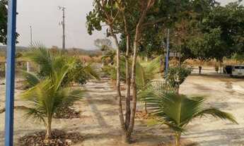 Imagem 4: 11 alqueiros em Mozarlândia