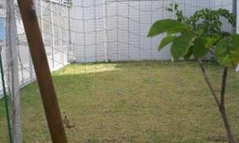 Imagem 7: RC- Pronto para Morar! 3 Quartos sendo 1 suíte na Madalena-9.