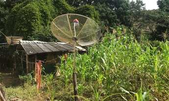 Imagem 3: Terra em Colinas do Sul Go