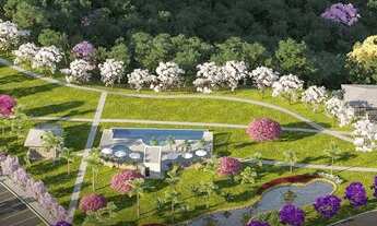 Imagem 5: Oportunidade florais chapada