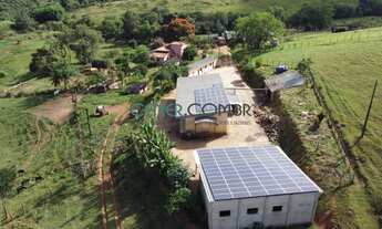 Imagem: LATICINIO EM ATIVIDADE EM FAZENDA DE 25