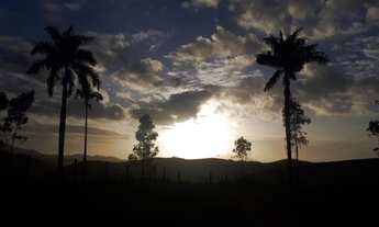 Imagem 6: Fazenda/Sítio/Chácara para venda com 970000 metros quadrados com 5 quartos