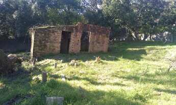 Imagem 3: Viamão - Terreno Padrão - Fiuza