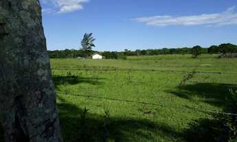 Imagem 3: Fazenda para Venda em Macaé, Cabiúnas, 2 dormitórios