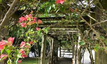 Imagem 5: RS- Sítio a beira do Rio