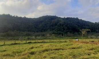 Imagem 4: Fazenda palmeiras