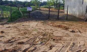 Imagem 3: Vende-se Meio Terreno em Maria Helena PR DE 300 Metros