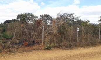 Imagem 4: Ótima Chácara 1000 metros na comunidade pau ferro