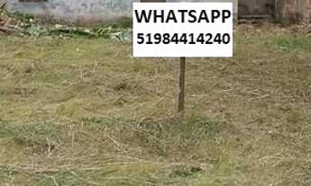 Imagem 4: Terreno em Gravatai 10x30 Metros a Uma Quadra da Dorival Barbada!!!