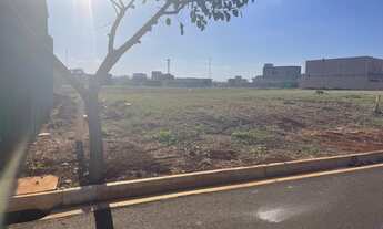 Imagem 2: Lote vivendas da Mata ilha Aroeira