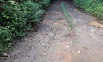 Imagem: 8 alqueires.Miracatú SP.oportunidade