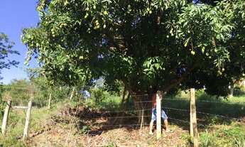 Imagem 3: Fazenda/Sítio/Chácara com casa e pomar em Santana do Pirapama/MG