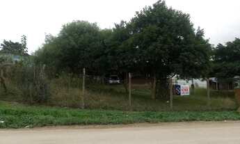 Imagem 2: Viamão - Terreno Padrão - Florescente