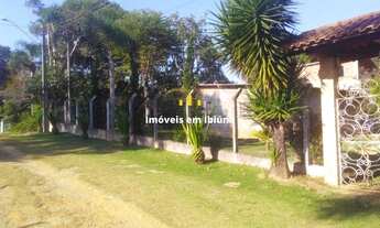 Imagem 6: Ibiúna - Chácara - Figueira