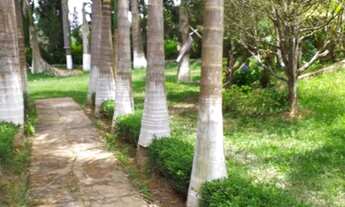 Imagem 6: Lote/Terreno para venda tem 1000 metros quadrados em Jardim Felicidade (Zona Norte) - São