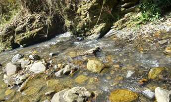 Imagem 3: Terreno com 6 hectares