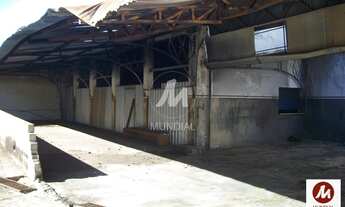 Imagem 3: Salão/Galpão (salão - térreo