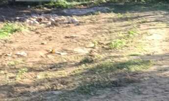 Imagem 4: RIO DE JANEIRO - Loteamento/Condomínio - VARGEM GRANDE