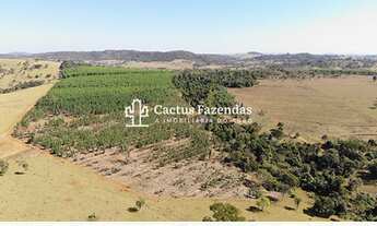 Imagem 5: Belíssima fazenda a 45 km de goiânia!