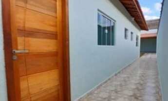 Imagem 6: Pavuna sua chance