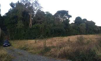 Imagem 6: Vendesse chácara com casa