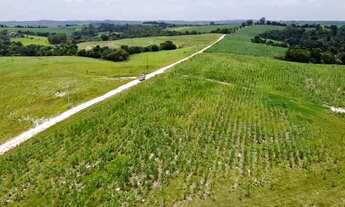 Imagem 7: Porto Feliz-Sp, Fazenda 66 Alqueires