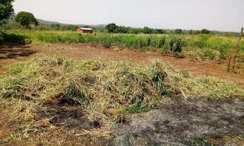 Imagem 2: Lote no assentamento santa monica