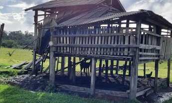 Imagem 2: FAZENDA PORTEIRA FECHADA NO CANTÁ