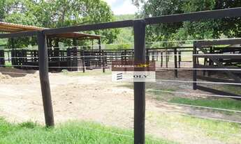 Imagem 7: Fazenda Extra - Região de Crixás-GO ! 136 Alqueires ! Oportunidade !