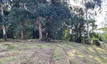 Imagem 5: Terreno de 2 hectare em Urubici