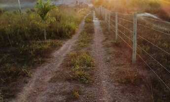 Imagem 5: Chácara a venda em Itaberaí - GO