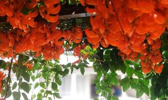 Imagem 3: Chácara com 4 dormitórios à venda, 1750 m² por R$ 1.750.000,00 - Fazendinha Miragem - Simã