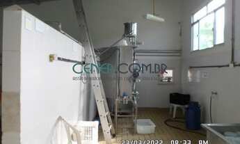 Imagem 4: LATICINIO EM ATIVIDADE EM FAZENDA DE 25 HA COM ÓTIMA PRODUÇÃO E ÓTIMA LOGISTICA