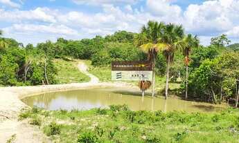 Imagem 3: Fazenda Extra - Região de Crixás-GO ! 136 Alqueires ! Oportunidade !