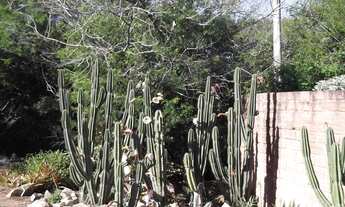 Imagem 7: Viamão - Sítio - Passo Do Vigário