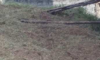 Imagem 3: Lote/Terreno para venda possui 125 metros quadrados em Parque Santa Bárbara - São Paulo