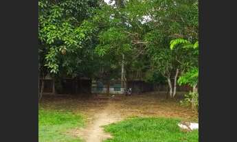 Imagem 14: Iranduba - Sítio - Iranduba