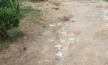 Imagem 2: Alugo casa em paulo lopes