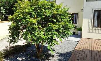 Imagem 2: Casa com 3 dormitórios à venda, 140 m² por R$ 700.000,00 - Saco Grande - Florianópolis/SC