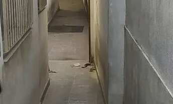 Imagem 2: Alugo Casa 3 quartos 2 Vagas Vila Anastácio