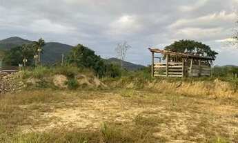 Imagem 4: Vendo lindo Lotes com Terra Planagem