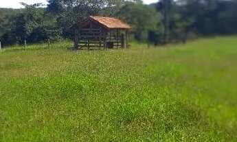 Imagem 2: Venda fazenda Unaí mg escriturada formada rio bem estrururada