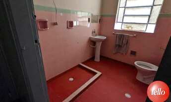 Imagem 7: São Paulo - Casa Padrão - Santana