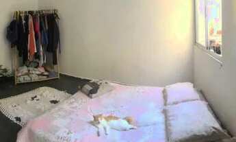 Imagem 7: Apartamento em Piedade, 2 quartos