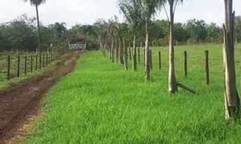 Imagem 6: Chácara muito boa e bem localizado