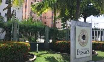 Imagem 5: Recanto dos Passaros, av Rio de Janeiro